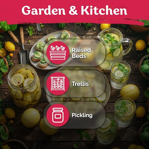 75 Lemon Cucumber Heirloom Vegetable Seeds for Planting