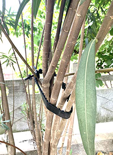 Tree Support Straps (10 Count)