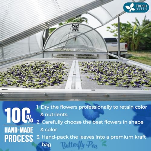 Premium 520+ Butterfly Pea Flowers (0.7 Ounce (Pack of 1))