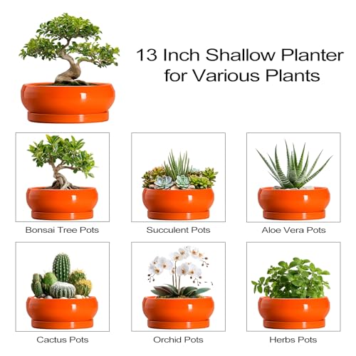 Bonsai Pots 13 Inch Ceramic Succulent Pots with Drainage Hole and Saucer (13 Inch / Orange)
