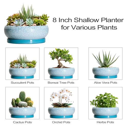 Succulent Pots 8 Inch (8 Inch / Blue-white)