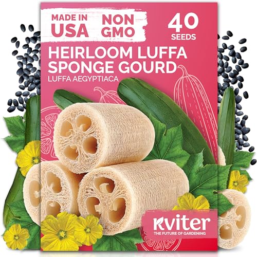 40 Luffa Heirloom Vegetable Seeds for Planting