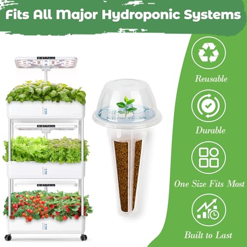 Seed Pods Kit Hydroponic (Veggies)
