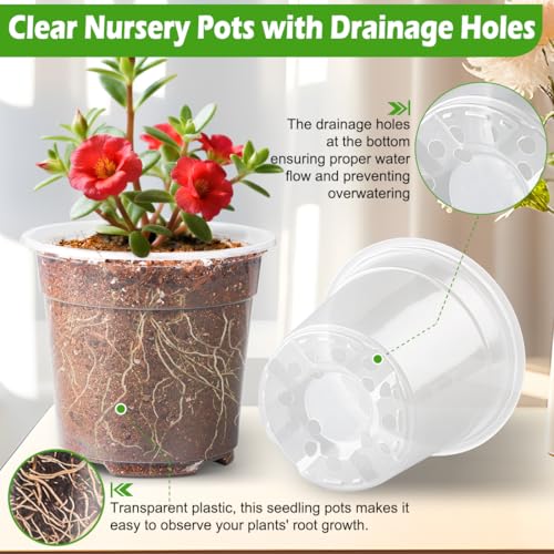 6 Inch Clear Nursery Pots with Humidity Dome (6 Inch Clear Pots With Domes-30p / 6Inch)