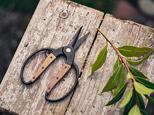 Garden Scissors (Small Garden Scissors)