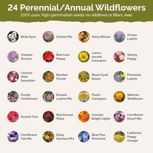 Texas Wildflower Mixed Seeds for Planting (1 Pound / Texas Wildflower)