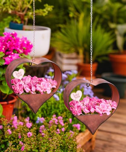 Metal Plant Hangers Indoor and Outdoor (2 Count)