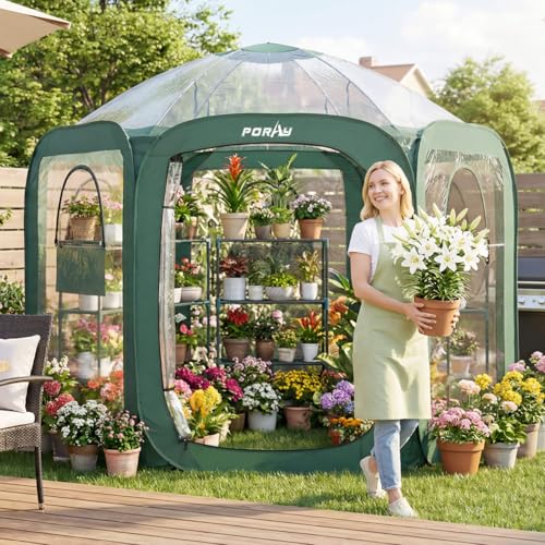 Pop up Greenhouse Tent (90.6"Tall Green Greenhouse)