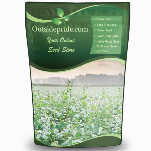Buckwheat Seeds (5 lb.)