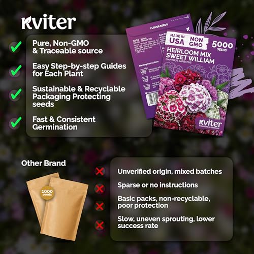 5 000 Mix Sweet William Heirloom Perennial Flower Seeds