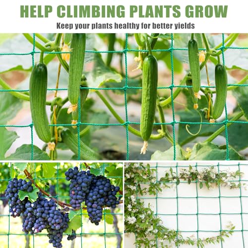 Trellis Netting for Climbing Plants (6.6x9.85 FT (27 Strands))