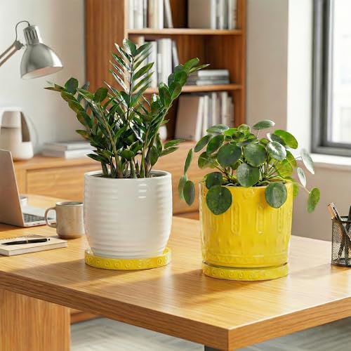 Plant Water Catcher Tray 7.5 Inch (7.5 Inch (2 Pack) / Yellow)
