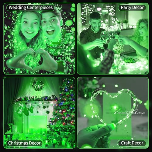 20 Pack LED Fairy Lights Battery Operated (20 Pack-Green)