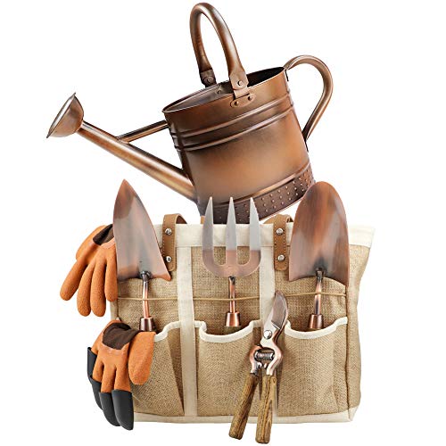 1 Gallon Galvanized Steel Watering Can with 3 Pcs of Garden Tools