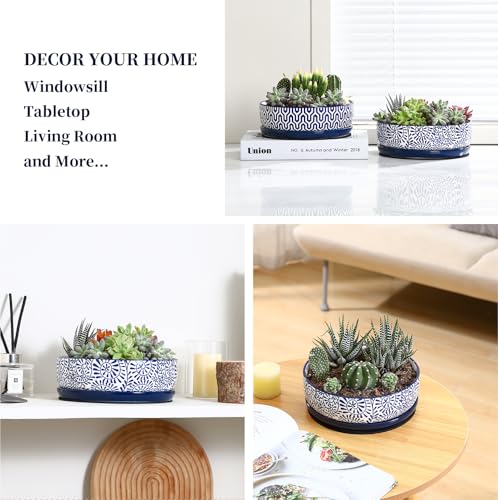 Ceramic Succulent Pots (Vintage Blue / 8 inch)