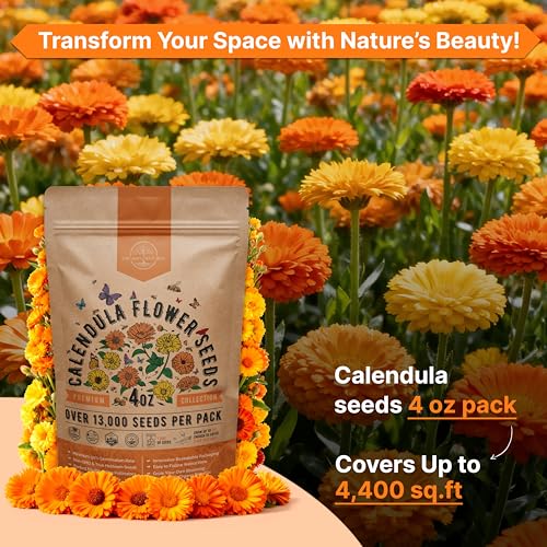Calendula Seeds Pack 4 oz