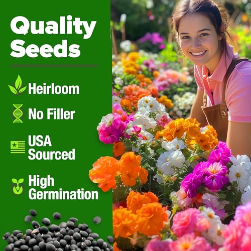 Moss Rose Portulaca Seeds