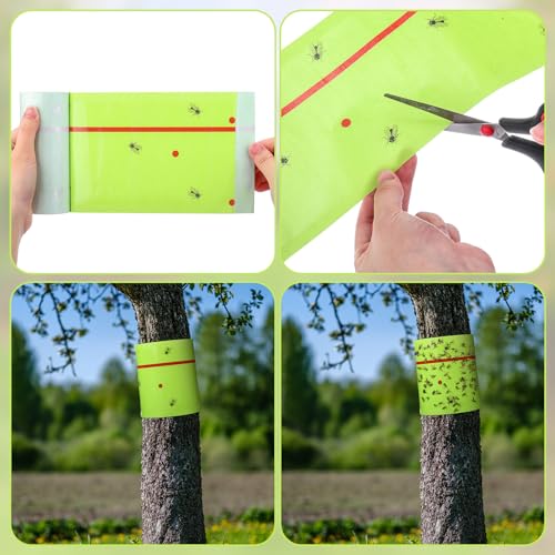 4 Rolls Spotted Lantern Fly Tree Tape Trap 30ft (Green)
