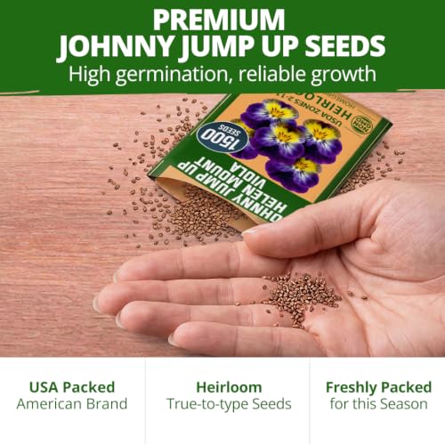 Johnny Jump Up Helen Mount Viola Seeds
