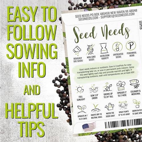 Broad Leaved Sage Seeds to Plant Heirloom Non (5 Packs)