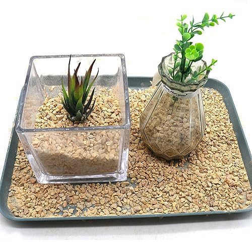 Light Brown Coarse Sand for Plants (X-Mini (0.125 Inch) / COARSE SAND - LIGHT BROWN)