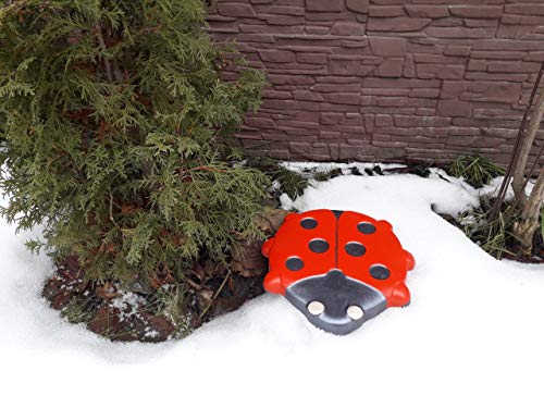 Ladybug Stepping Stone Mold Concrete Cement Mould ABS Moth Garden Path #S49 (Big 15.55 in)