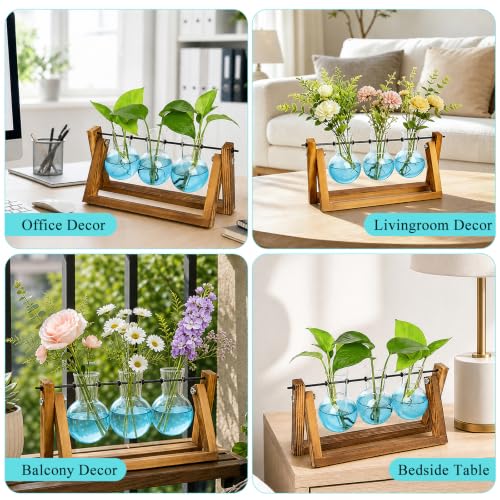 Plant Terrarium Kit with Wooden Stand 3 Gradient Blue Bulb Vases (Blue)