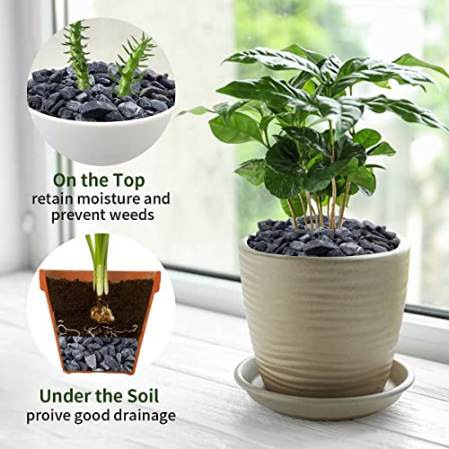 2 lbs Black Gravel for Plants (32 Ounce)