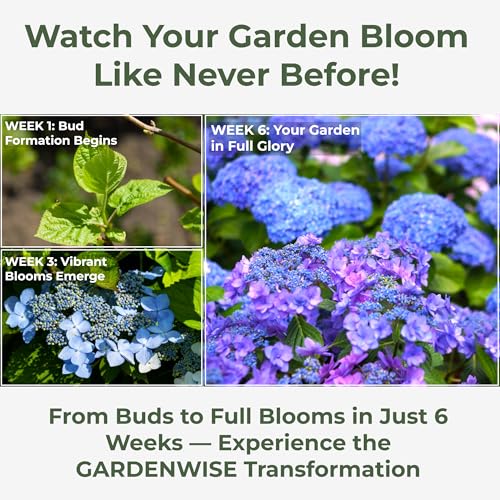 Slow Release Hydrangea Fertilizer with Iron & Sulfur (64 Ounce)