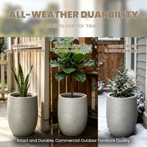 Weathered Concrete Planter 9.1" Dia All (Rustic Concrete / 11.8 Inch Tall)