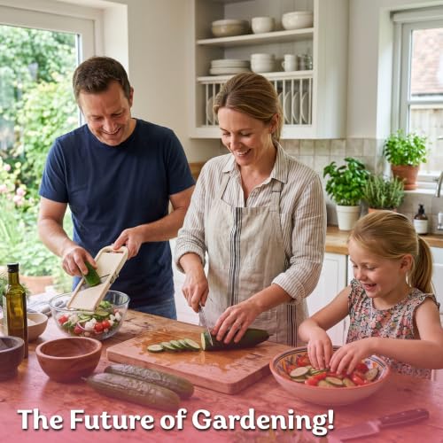 250 Marketmore 76 Cucumber Heirloom Vegetable Seeds