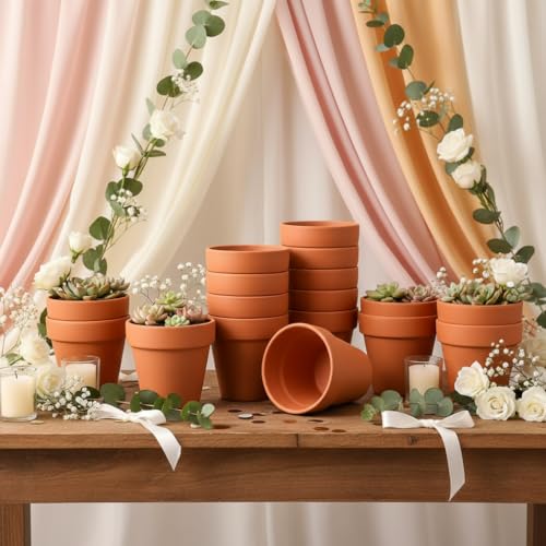 Terracotta Clay Pots with Drainage Holes (4-inch Red)