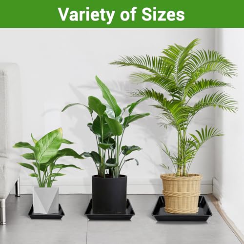 6 Packs Square Plant Saucer