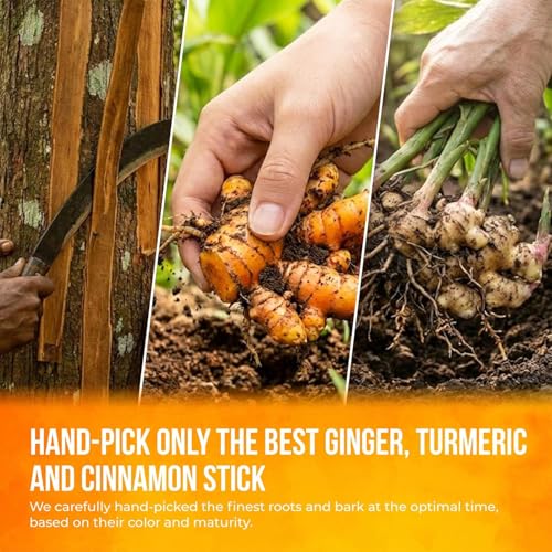 Premium Turmeric Ginger Cinnamon Tea (135 Count)