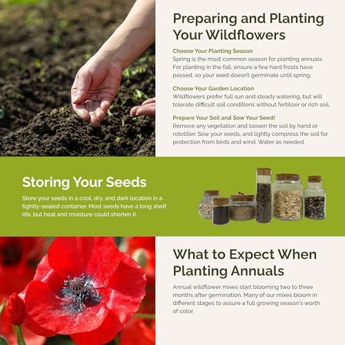 Fairytale Flower Mixed Seeds for Planting (5 Pounds / Fairytale)