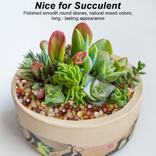 Decorative River Pebbles for Vase Fillers Aquarium Potted Plant Landscaping (5 Pounds / Three Colors)