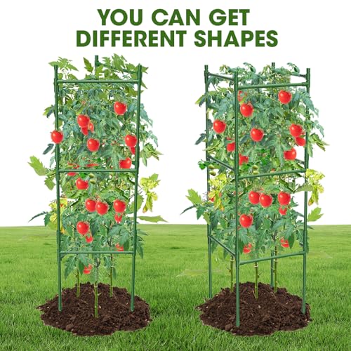 6 Pack Tomato Cage (6 pack)