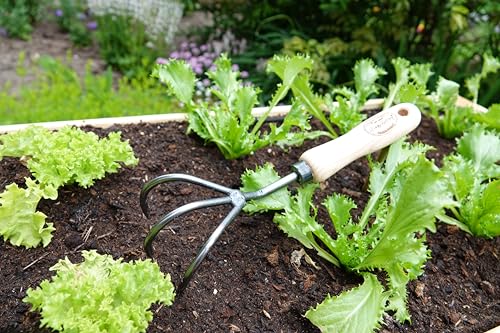 Cultivator Hand Tiller (3-Tine / Short Handle)