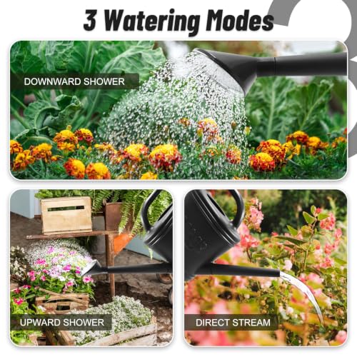 2 Gallon Watering Can (Black / 2 Gallon)