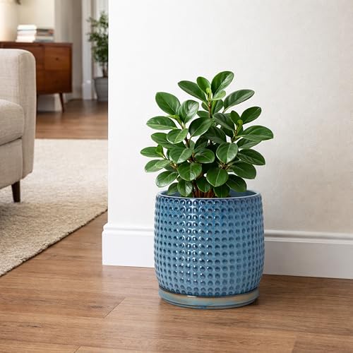 Beaded Ceramic Pot with Saucer (8.8 Inch / Ocean Teal)