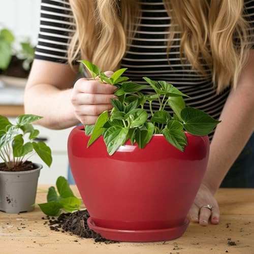 Ceramic Planter for Indoor Plants (8 Inch / Glossy Red)