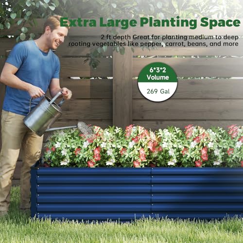 6x3x2ft Outdoor Metal Raised Garden Bed (Blue / 6x3x2 FT-2PC)