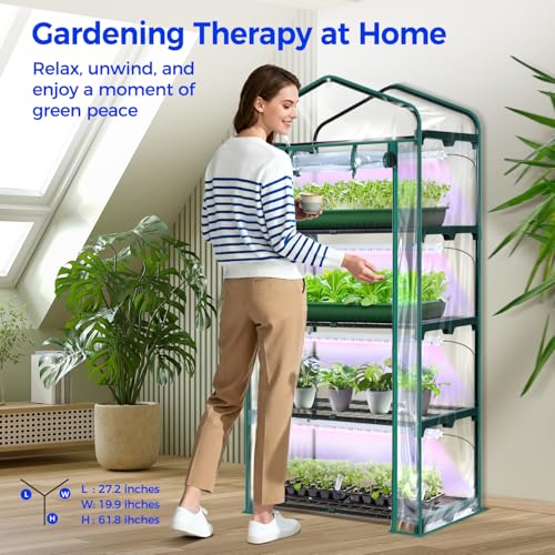 Indoor Greenhouse with Grow Light (Transparent / 4 Tier with Grow Light)