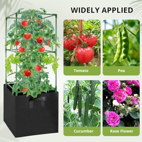 3 Pack Tomato Cages with 17 Gallon Grow Bags (3 Count)