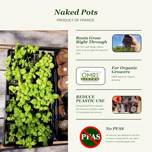 3" Naked Pots (60 Count)