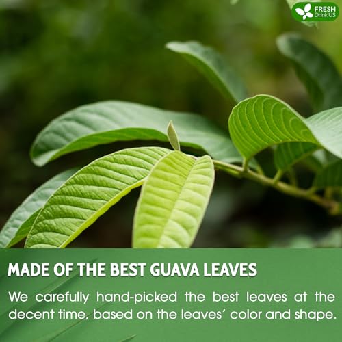 Premium 135 Guava Leaf Tea Bags (135 Count)