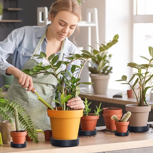 6 Inch Plastic Plant Saucer Water Drip Tray