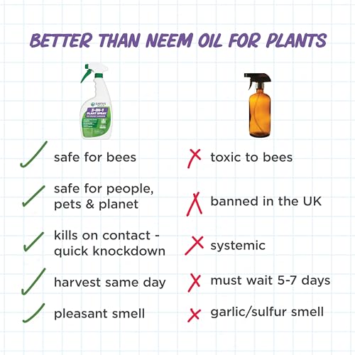 3-in-1 Plant Spray for Pests & Disease, 24 Oz (24 Fl Oz, Ready to Use)