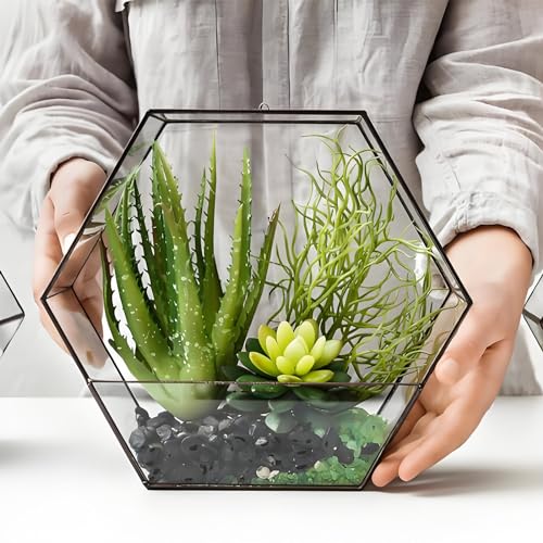 Black Pebbles for Indoor Plants (16 Ounce)