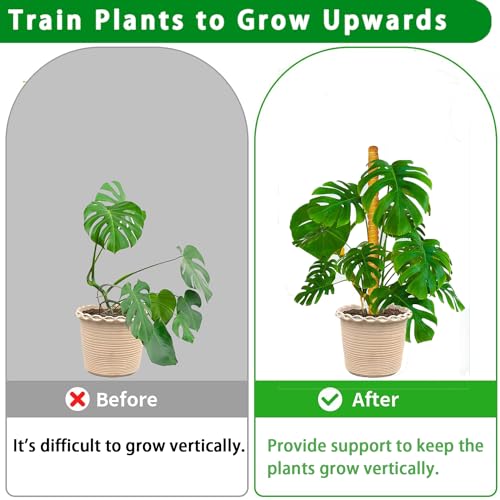 Moss Pole 2 Pack 17 Inch Monstera Plant Support for Climbing Plants Accessories Indoor (2 Count)
